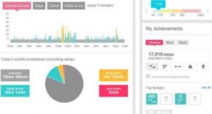 Image of Fitbit Ultra Wireless Activity Tracker's visual charts