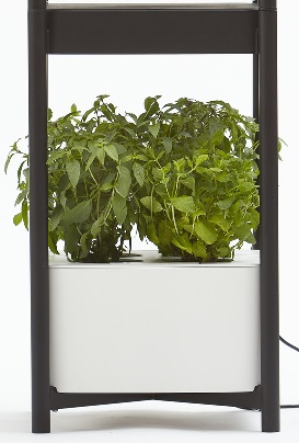 Miracle-Gro Twelve Indoor Growing System