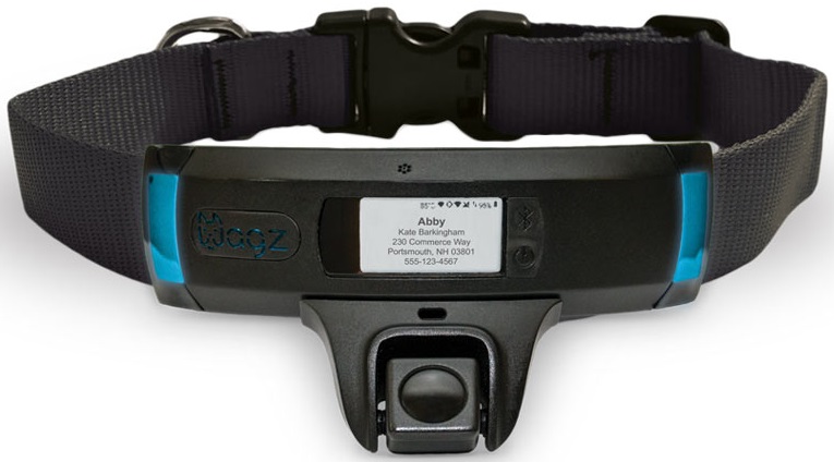 Wagz Explore Smart Collar