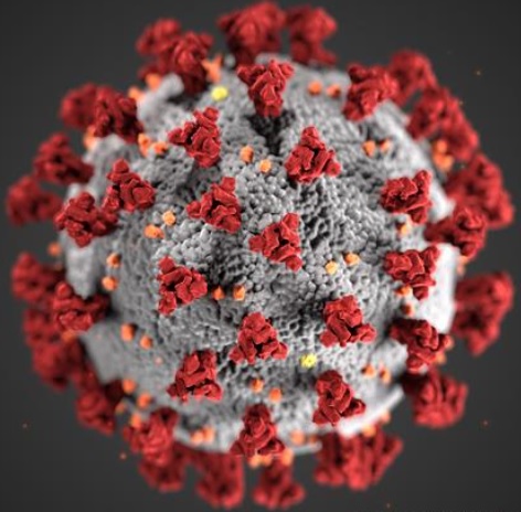 COVID-19 coronavirus image