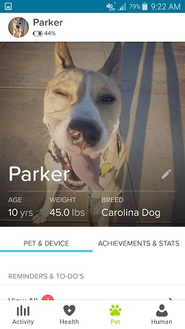 Whistle App Parker the Dog Stats