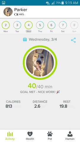 Whistle App Parker the Dog's Day at a Glance