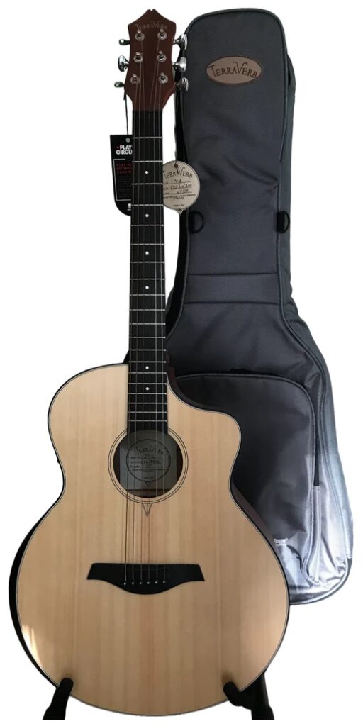 TerraVerb TV1 guitar with soft carry bag behind.