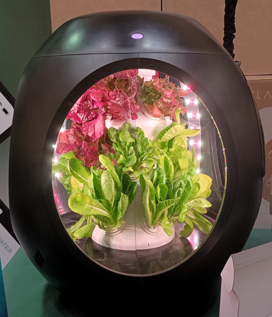 Black Plantaform Smart Indoor Garden with open front panel and red and green lettuce growing inside.